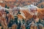 Picture of USA, UTAH HOODOO FORMATIONS IN BRYCE CANYON NP