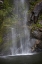 Picture of NEW ZEALAND, SOUTH ISL, FIORDLAND NP WATERFALL