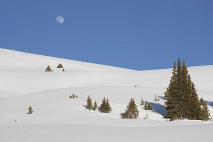 Picture of COLORADO MOON RISE ABOVE THE CONTINENTAL DIVIDE