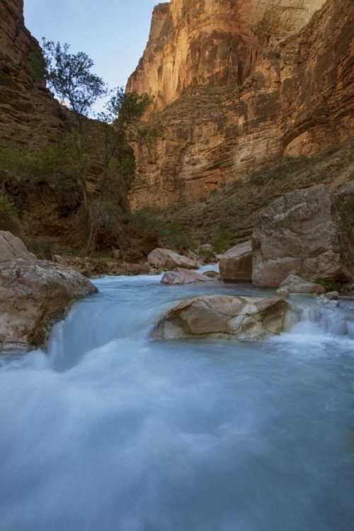 Picture of AZ, GRAND CANYON, HAVASU CREEKS THROUGH A GORGE