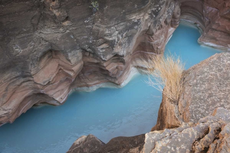 Picture of AZ, GRAND CANYON, HAVASU CREEKS THROUGH A GORGE