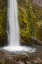 Picture of NEW ZEALAND, TARANAKI DAWSON FALLS IN EGMONT NP