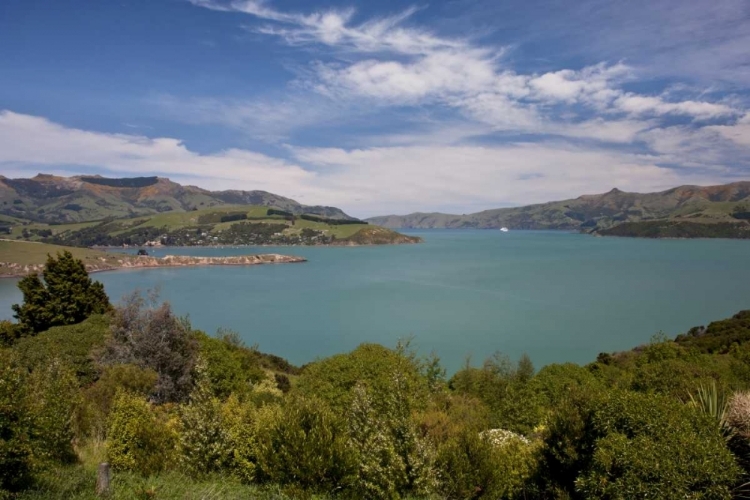 Picture of NEW ZEALAND, SOUTH ISLAND, AKAROA HARBOR SCENIC