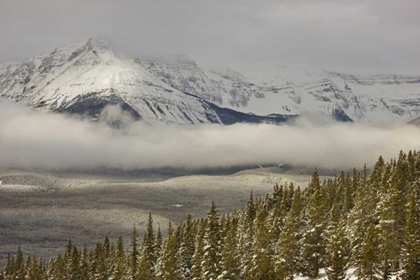 Picture of CANADA, BANFF NP A LOW CLOUD BANK IN THE VALLEY