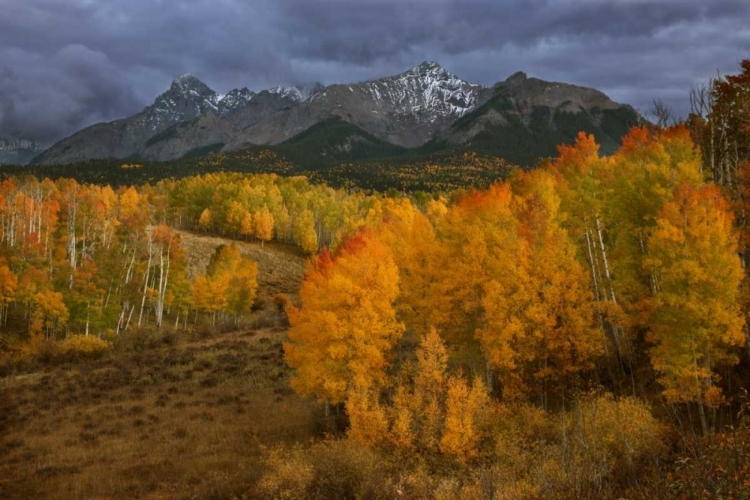 Picture of CO, SNEFFELS RANGE DARK CLOUDS FORETELL A STORM