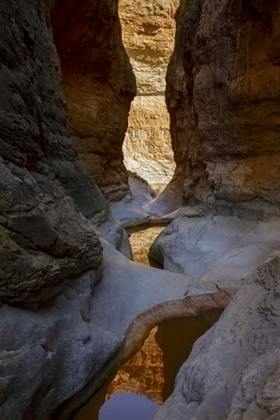 Picture of USA, ARIZONA, GRAND CANYON NP CANYON REFLECTIONS