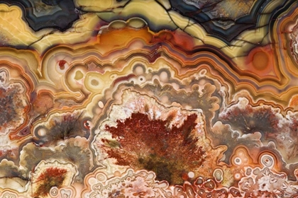 Picture of MEXICO CLOSE-UP OF CRAZY LACE AGATE STONE