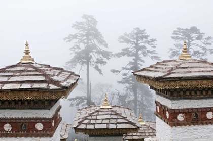 Picture of BHUTAN, DOCHU LA CHORTENS AND TREES IN FOG