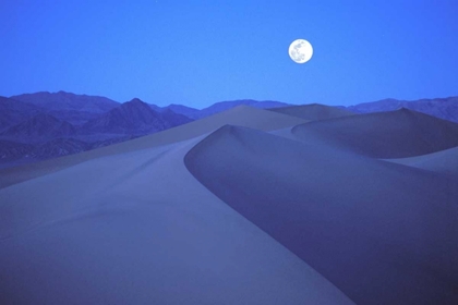 Picture of CA, DEATH VALLEY NP, MOONRISE OVER SAND DUNES