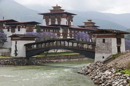Picture of BHUTAN FOOT BRIDGE NEAR PUNAKHA DZONG PALACE