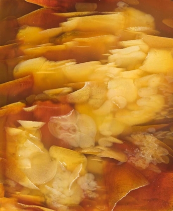 Picture of USA, OREGON CLOSE-UP OF RED FLAKE AGATE STONE