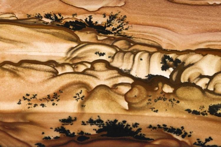 Picture of OREGON CLOSE-UP OF BIGGS PICTURE JASPER STONE