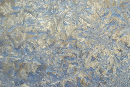 Picture of USA, COLORADO CLOSE-UP OF FROST AND ICE ON GLASS