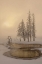 Picture of USA, WYOMING, YELLOWSTONE NP FOGGY WINTER SCENIC