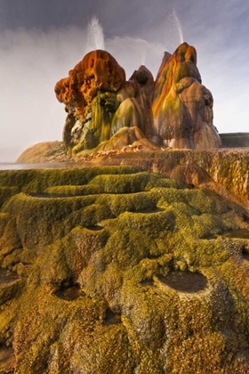 Picture of NEVADA, BLACK ROCK DESERT VIEW OF THE FLY GEYSER