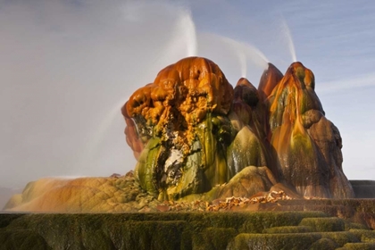 Picture of NEVADA, BLACK ROCK DESERT VIEW OF THE FLY GEYSER