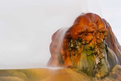 Picture of NEVADA, BLACK ROCK DESERT VIEW OF THE FLY GEYSER