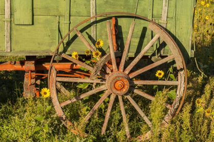 Picture of SOUTH DAKOTA, WILD HORSE SANCTUARY VINTAGE WAGON