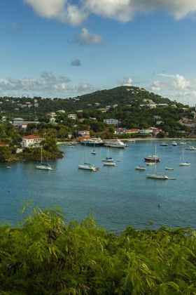 Picture of CARIBBEAN, USA VIRGIN ISLANDS, ST JOHN CRUZ BAY