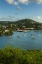 Picture of CARIBBEAN, USA VIRGIN ISLANDS, ST JOHN CRUZ BAY