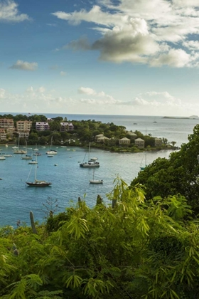 Picture of CARIBBEAN, USA VIRGIN ISLANDS, ST JOHN CRUZ BAY