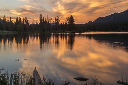 Picture of COLORADO, ROCKY MOUNTAINS SPRAGUE LAKE AT SUNSET