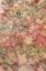 Picture of MEXICO BOUGAINVILLEA GROWING ON WALL