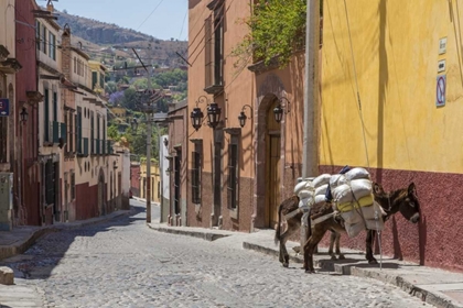 Picture of MEXICO TWO LADEN DONKEYS ON SIDEWALK