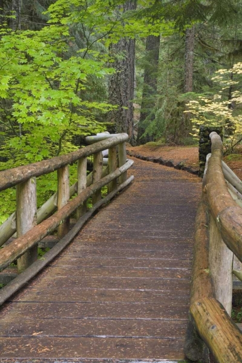 Picture of OR, WILLAMETTE NF WOODEN FOOT BRIDGE