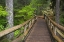 Picture of OR, WILLAMETTE NF WOODEN FOOT BRIDGE