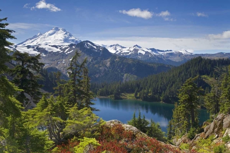 Picture of WA, MT BAKER WILDERNESS, ICEBERG LAKE