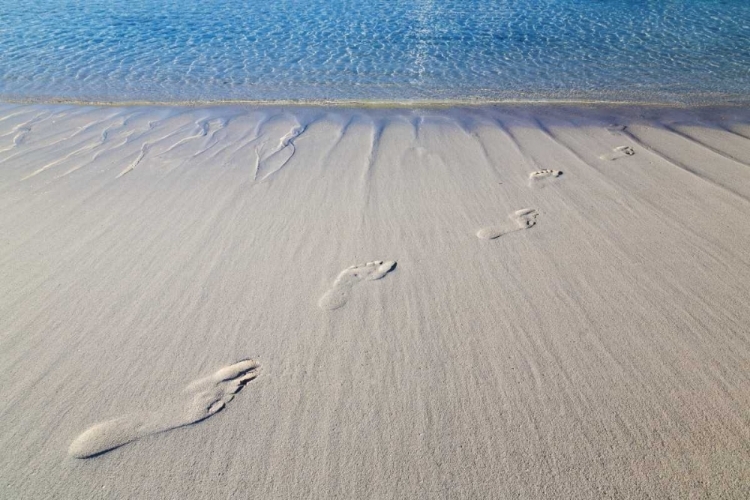 Picture of BAHAMAS, EXUMA ISLAND SAND FOOTPRINTS