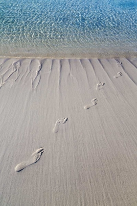 Picture of BAHAMAS, EXUMA ISLAND SAND FOOTPRINTS