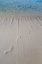 Picture of BAHAMAS, EXUMA ISLAND SAND FOOTPRINTS