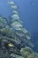 Picture of INDONESIA, RAJA AMPAT UNDERWATER FISH AND CORAL