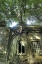 Picture of CAMBODIA, ANGKOR WAT RUINS OF BENG MELEA TEMPLE