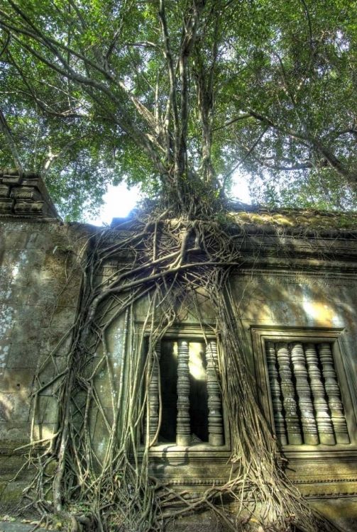 Picture of CAMBODIA, ANGKOR WAT RUINS OF BENG MELEA TEMPLE