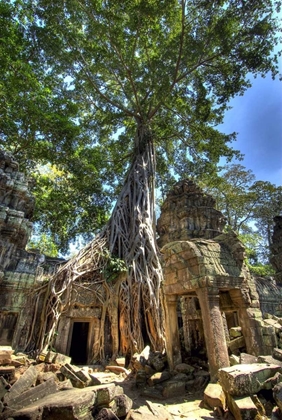 Picture of CAMBODIA, ANGKOR WAT RUINS OF BENG MELEA TEMPLE