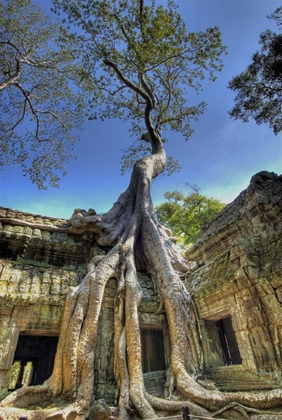 Picture of CAMBODIA, ANGKOR WAT RUINS OF BENG MELEA TEMPLE