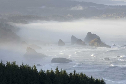 Picture of OREGON, GOLD BEACH FOGGY MORNING ON SEASHORE