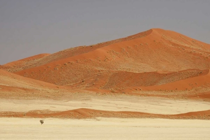 Picture of NAMIBIA, NAMIB DESERT PATTERNS ON SAND DUNES