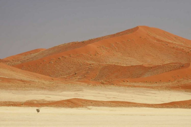 Picture of NAMIBIA, NAMIB DESERT PATTERNS ON SAND DUNES