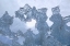 Picture of AK SUN SHINING THROUGH ICE OF MCBRIDE GLACIER