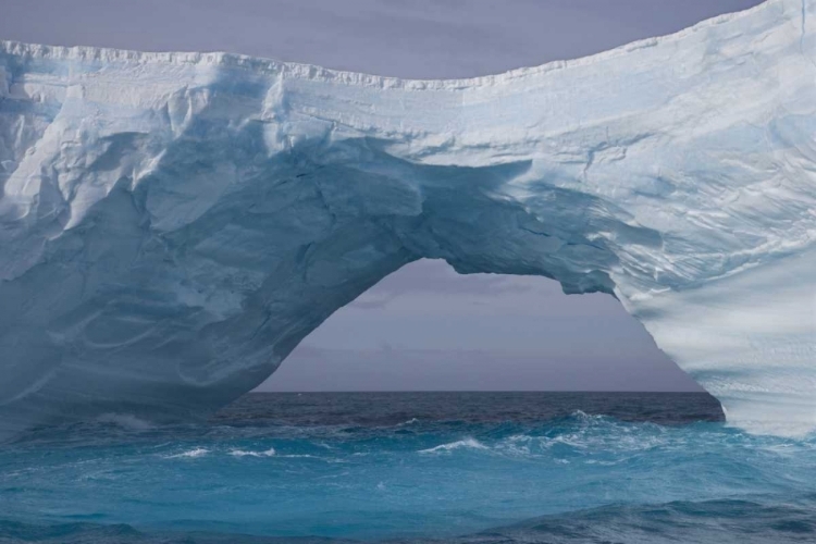 Picture of SOUTH GEORGIA ISLAND, IRIS BAY ICEBERG BRIDGE