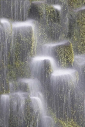 Picture of OR, WILLAMETTE NF PROXY FALLS CASCADING WATER