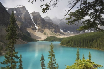 Picture of CANADA, ALBERTA, BANFF NP VIEW OF MORAINE LAKE