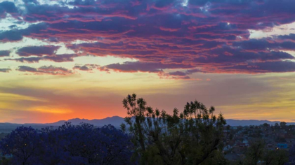 Picture of MEXICO, SAN MIGUEL DE ALLENDE SUNSET OVER CITY