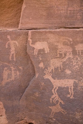 Picture of USA, UTAH, CANYONLANDS NP PETROGLYPHS ON ROCKS