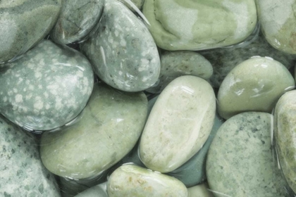 Picture of USA, WASHINGTON, SEABECK CLOSE-UP OF WET ROCKS