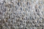 Picture of USA, WASHINGTON DETAIL ABSTRACT OF FISH SCALES